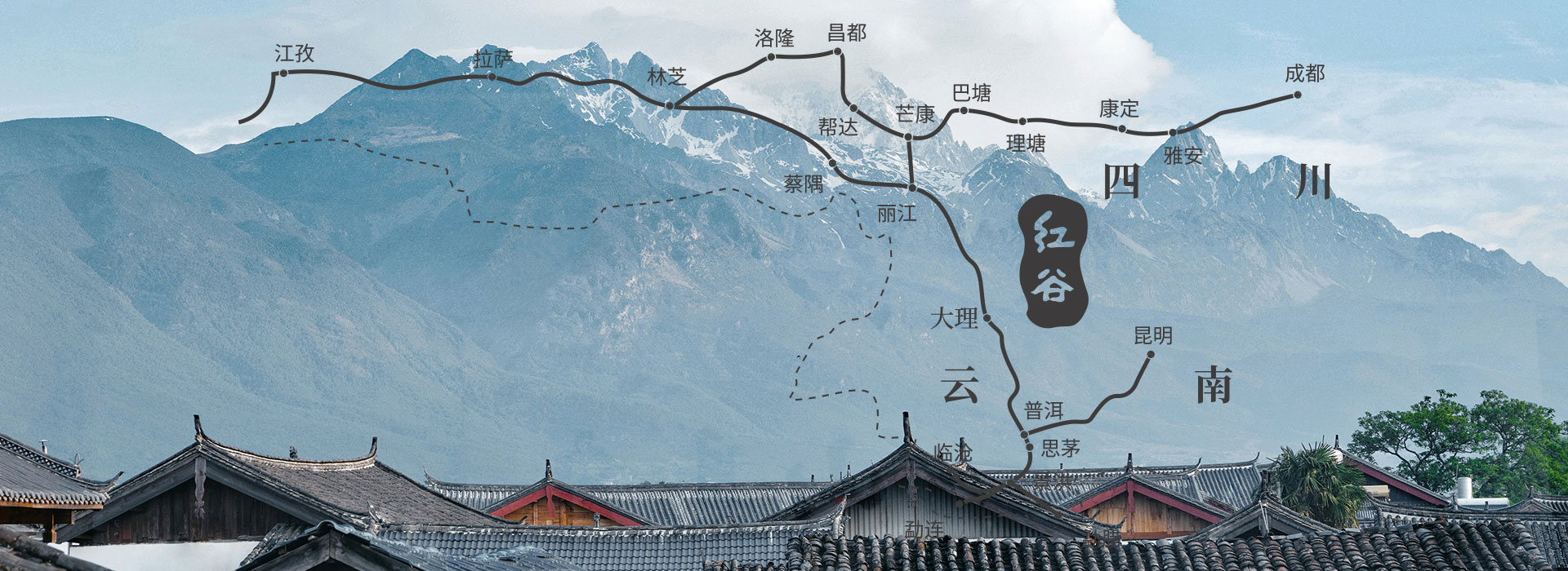 发展历程